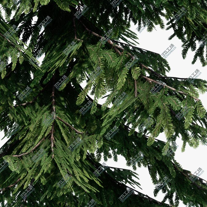 images/goods_img/2021040232/3D Pine Tree Pack 01/2.jpg